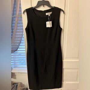 Kasper Sleeveless Sheath Dress